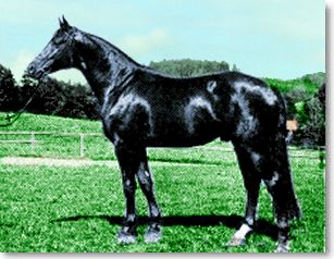 Marius - auch mit 24 Jahren noch leistungsfreudig